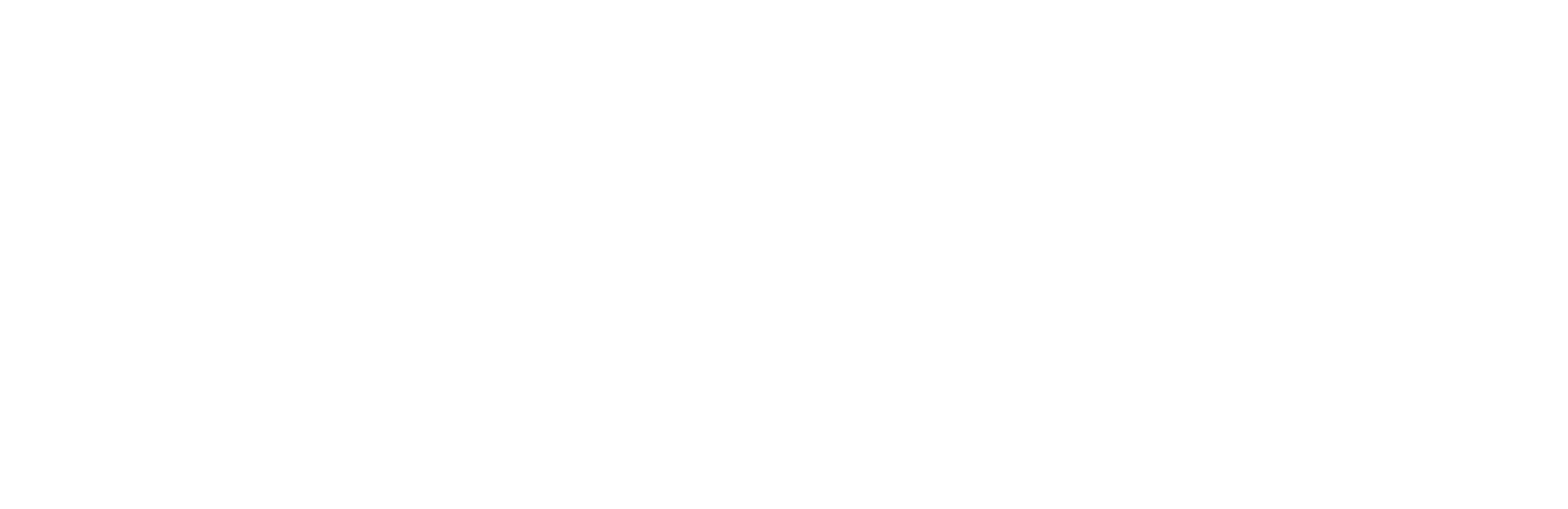 Hero Logo in White